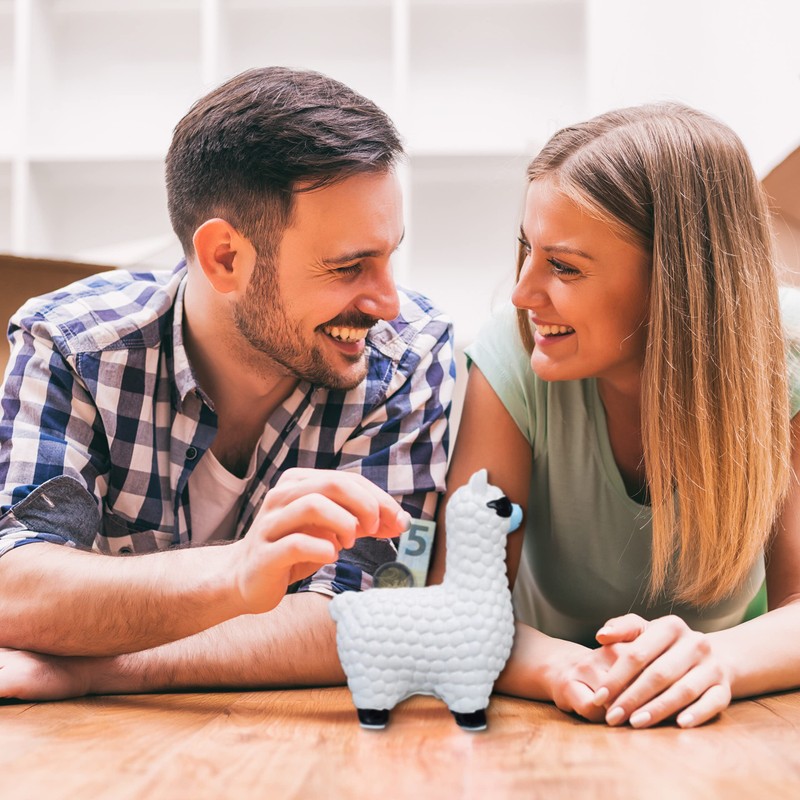 1 x Llama Money Box with Sunglasses, Gift Idea &