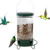Anti Squirrel Bird Feeder | Metal Hangable Mesh Outdoors Weight