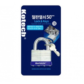 Large Iron Plate Key K-3891 2ea