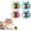 KLOMKMCL Cat Nips Organic Ball Chew Teeth Cleaning Rollerball for