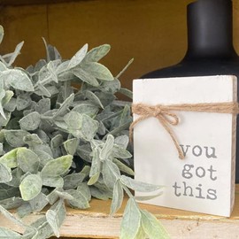 Collins Painting Mini Jute Rope Block Sign (You Got This) - Wooden Inspirational Wall Sign - Country Rustic Style - White - 3"L x 4"H x 1"D