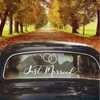 Just Married Car Sticker, Wedding Car Decoration, Wedding Car Decoration,