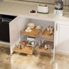 OCG Pull Out Cabinet Organizer 11" W x 21" D,