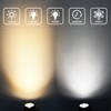 Junview 2Pack LED Spot Lights Indoor Uplights Plant Spotlights with