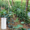 Berlune 4 x 1000 ft Trellis Netting, Soft Mesh Nylon