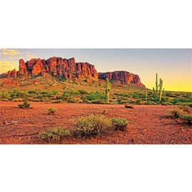 AWERT Reptile Habitat Background Sky Oasis Mountain Cactus Sun and Desert Terrarium Background Durable Polyester Background