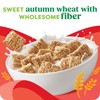Kashi Breakfast Cereal, Organic, Whole Grain, Autumn Wheat, 18oz Box