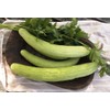 KIRA SEEDS - Seeds Armenian Cucumber - Open-Pollinated - Heirloom