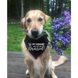 Bandana para perro, My Humans are Getting Married She Said Yes, Negro y blanco (con diseño), 48 x 70 cm, Unisex, Boda, Ajustable, Poliéster hilado suave