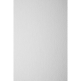 Netuno 20 x Textured Cardboard, White, DIN A5, 148 x 210 mm, 200 g, Prisma Bianco White Card Cardboard, Embossed Craft Cardboard, Textured