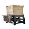 Durable Plastic and Metal 10-Frame Beehive Stand: Elevate & Protect