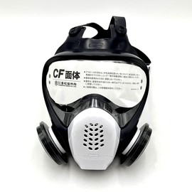 Shigematsu DR185L2W Replacement Dust Mask Medium Size (Includes 2 L2W Filters)