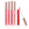 Enchante Ellen Tracy Lip Gloss Collection, Shimmery Lip Glosses for