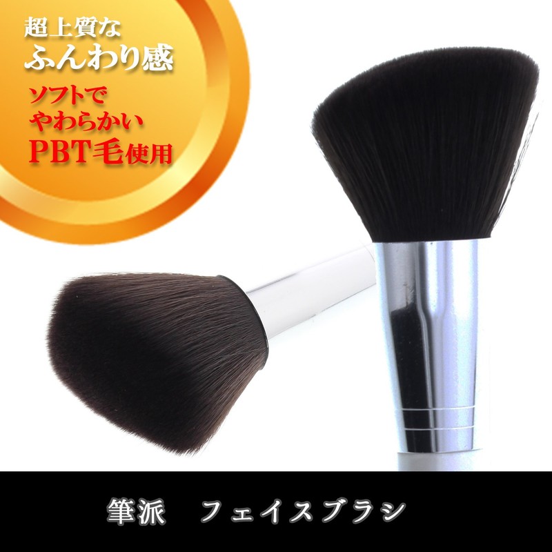 Shishida Seishindo PA-01 Cosmetic Brush, Brush School Face Brush