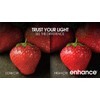 Feit Electric A19 100W Equivalent LED Light Bulbs, Dimmable, 3000k