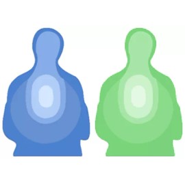 National or American TT-II US Treasury Transitional Silhouette Target, Transtar-II, 24" x 40" - 44 Targets, Green