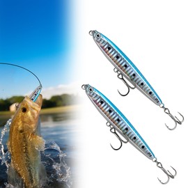 Pack of 2 Fishing Lures 10 cm / 24 g, Sinking Long Throw Pencil Bait, Artificial Bait, Blinker, Catfish Bait, Ideal for River, Lake, Coast, Boats and Sea Fishing