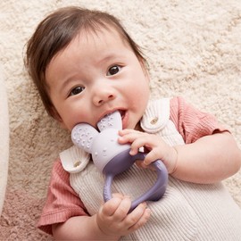 b.box Chill + Fill Teether, Peony