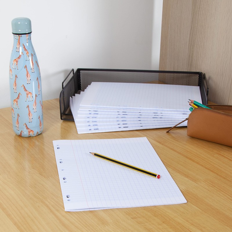 Oxford Seyes Set of 400 Double Copy Pages Large Squares