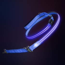 PetIsay Night Walking LED Dog Leash - 6FT Reflective & Waterproof Light Up Safety Leashes for Dogs - USB Rechargeable, Blue