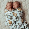 Snug as a Bub & Co. Organic Swaddle - Whimsical