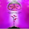 100W Led Grow Light Bulb Full Spectrum,Plant Light Bulb with
