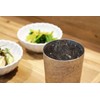 Horie 新潟 Prefecture could Made in Titanium Double Wall Tumbler