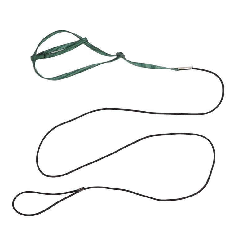 Bird Harness Leash Adjustable Elastic Flying Training Parrot Traction Rope