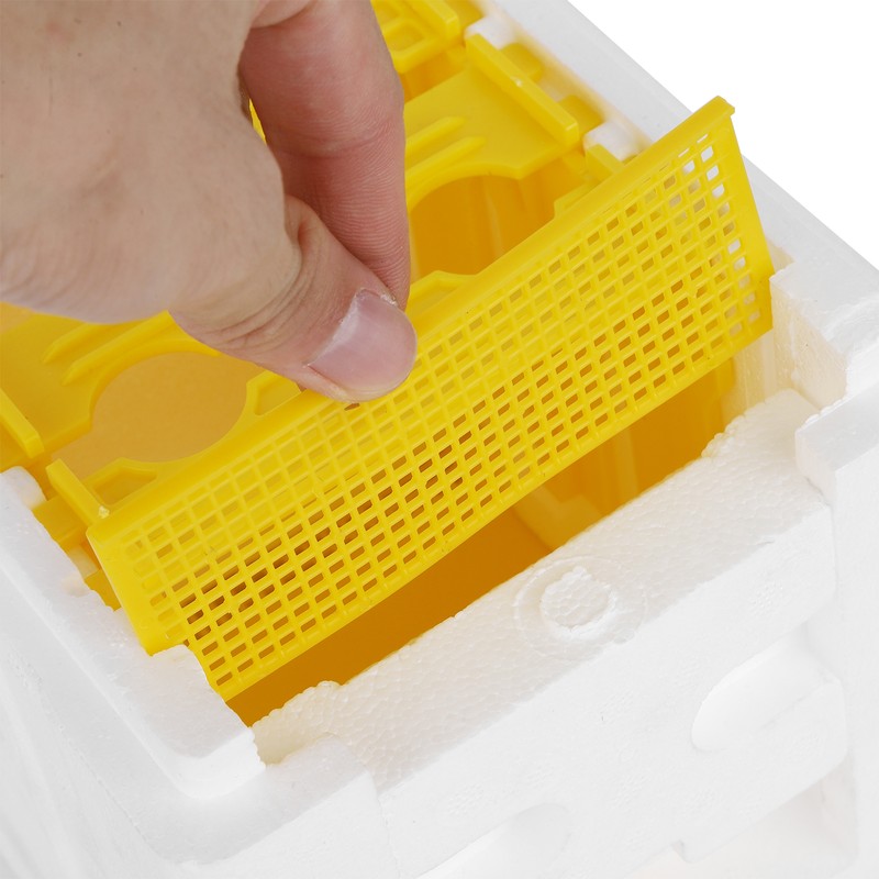Queen Bee Mating Box Foam Breeding Rearing Copulation Accessory Beekeeping
