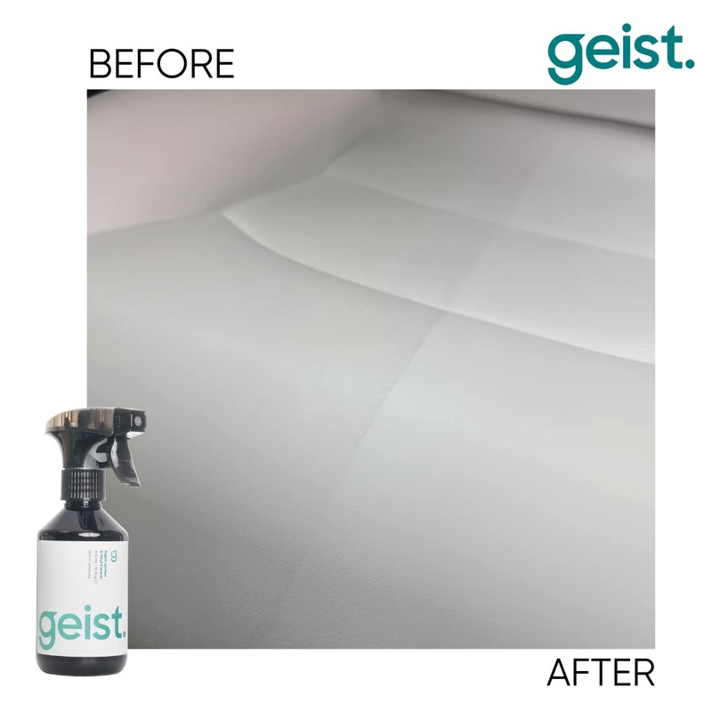 Geist. Rapid Cleaner for Leather and Vinyl (Cleaner + Brush
