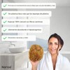 Esponja de mar natural Naroa XL – Exfoliante corporal ecológico