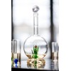 Tequila Aloe Decanter With Agave Plant, Round Design, Glass Design
