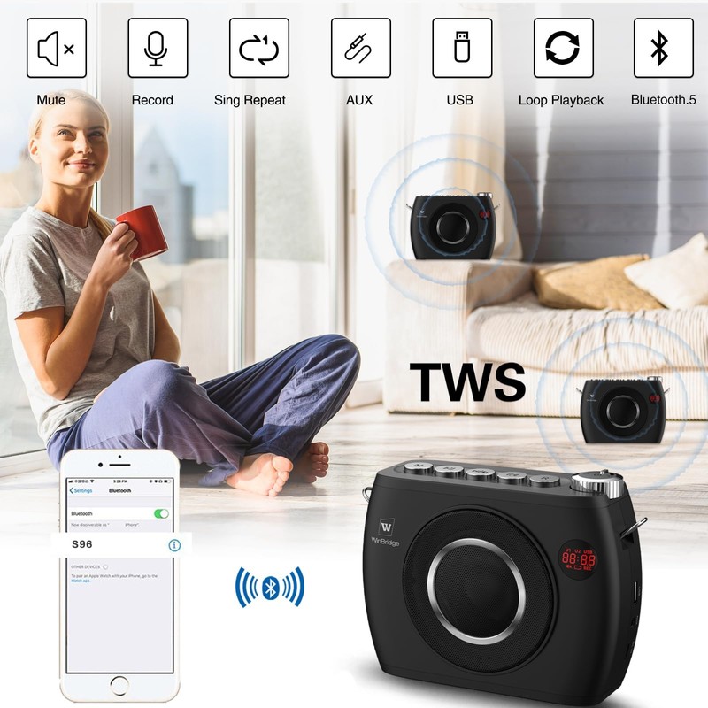 25W Wireless Voice Amplifier with Two Bluetooth Headset Microphones, High