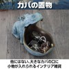 Boono Hippo Figurine, Funny Miscellaneous Goods, Figurine, Interior, Fashionable, Small