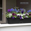 Bloem Dura Cotta Window Box Planter: 30" - Black -
