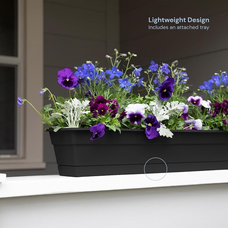 Bloem Dura Cotta Window Box Planter: 30" - Black -