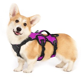 rabbitgoo Escape Proof Dog Harness, Soft Padded Full Body Pet Harness, Reflective Adjustable No Pull Vest with Lift Handle and Lesh Clip for Large Dogs Walking Hiking Training, S, Purple