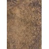 Walnut Burl Wood Veneer 21" x 29" raw no Backing