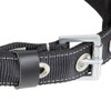 PeakWorks V8056023-2 D-Ring Padded Lumbar Support - PeakPro Positioning Belt