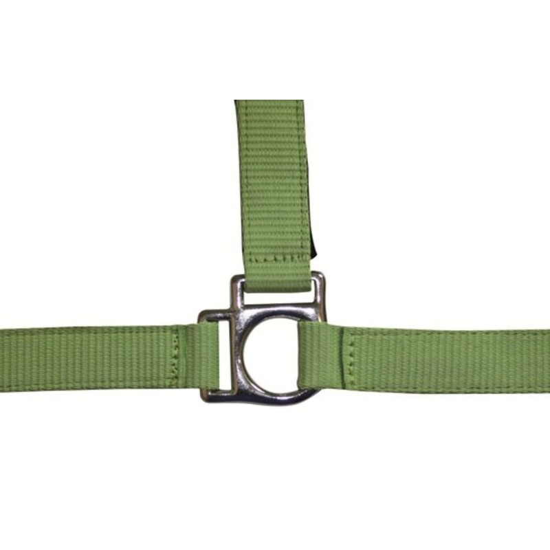 HKM Stars 558526 Headcollar Thoroughbred Dark Blue