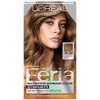 L'Oreal Paris Feria Multi-Faceted Shimmering Color, Light Golden Brown [63]