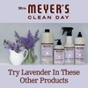 MRS. MEYER'S CLEAN DAY Multi-Surface Everyday Cleaner, 16.0 Fluid Ounce