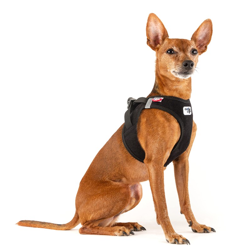 Vest Harness Curli Clasp Cord Black S