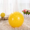 teytoy 8.6 Inch 5 Pack Sensory Balls with Pump Inflatable