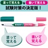 Kokuyo PM-M120P-1P Memorization Pen, Checkle, Green, Pink