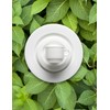 Fortessa Fortaluxe SuperWhite Vitrified China Dinnerware, Cassia 8-Ounce Stackable Coffee/Tea