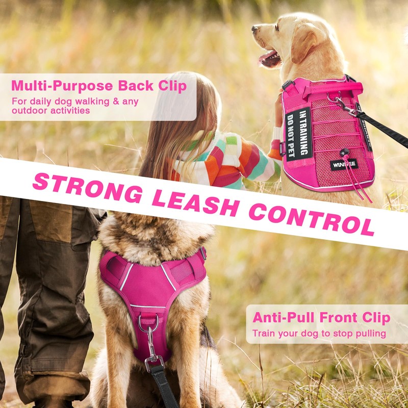 WINSEE Service Dog in Training Mesh Harness with 10 Pet