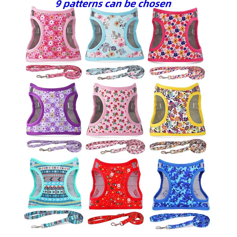 Moonpet Step in Air Boy Dog Harness Leash Set- All