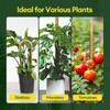 Maygrove 3-Pack 28” Bendable Moss Pole Monstera Plant Support for