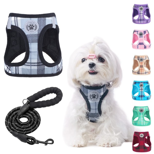 BEAUTYZOO Small Dog Harness and Leash Set,Step in No Choke
